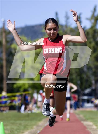 Thumbnail 1 in CIF NS Division 2 Finals (Triple Jump) photogallery.