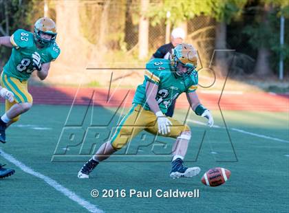 Thumbnail 2 in Columbia River @ Tumwater photogallery.