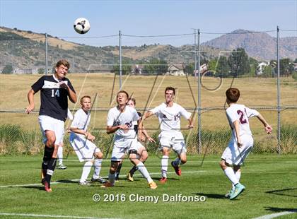 Thumbnail 1 in Rock Canyon @ Chatfield photogallery.