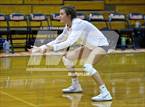Photo from the gallery "Winter Haven @ Lakeland"