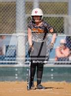 Photo from the gallery "Torrey Pines @ Del Norte"