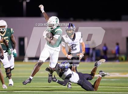 Thumbnail 3 in North Crowley @ DeSoto photogallery.