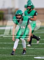 Photo from the gallery "Mansfield @ Greenland"