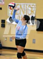 Photo from the gallery "Mira Loma @ Pioneer"