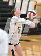 Photo from the gallery "Mira Loma @ Pioneer"