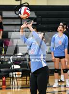 Photo from the gallery "Mira Loma @ Pioneer"