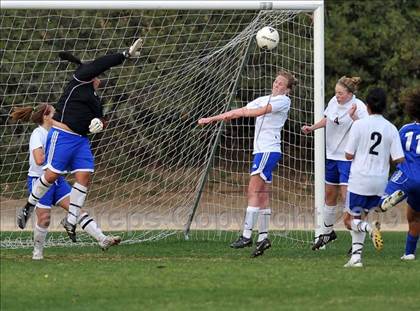 Thumbnail 2 in Los Altos @ Charter Oak photogallery.