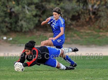 Thumbnail 2 in Los Altos @ Charter Oak photogallery.
