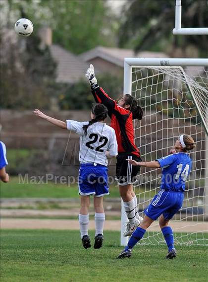 Thumbnail 2 in Los Altos @ Charter Oak photogallery.