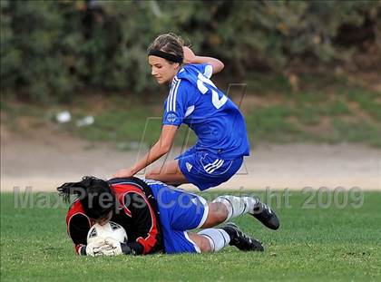 Thumbnail 1 in Los Altos @ Charter Oak photogallery.