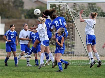 Thumbnail 1 in Los Altos @ Charter Oak photogallery.