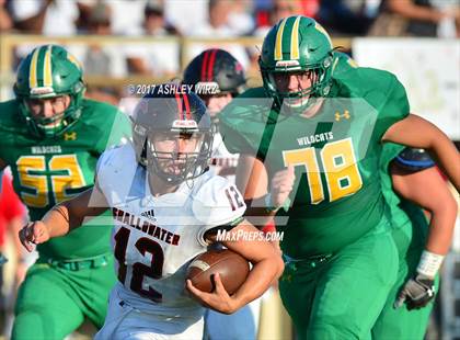 Thumbnail 1 in Shallowater @ Idalou photogallery.