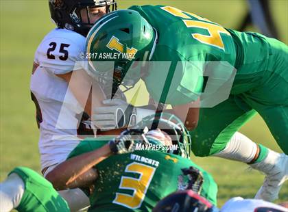 Thumbnail 1 in Shallowater @ Idalou photogallery.