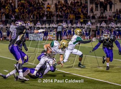 Thumbnail 3 in Timberline @ Lake Stevens photogallery.