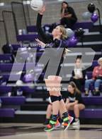 Photo from the gallery "Jordan @ Lehi"