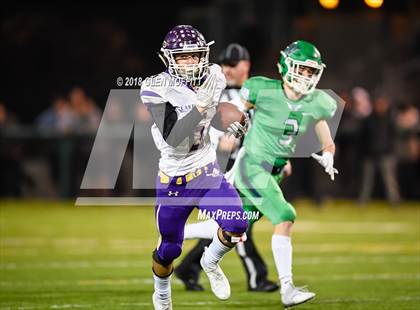 Thumbnail 2 in Lake Stevens @ Woodinville (WIAA 4A Semifinal) photogallery.