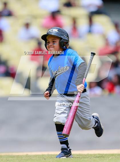 Thumbnail 3 in North Hollywood vs Banning (CIF LACS D1 Final) photogallery.