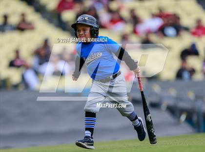 Thumbnail 2 in North Hollywood vs Banning (CIF LACS D1 Final) photogallery.