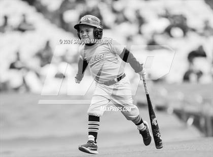 Thumbnail 3 in North Hollywood vs Banning (CIF LACS D1 Final) photogallery.