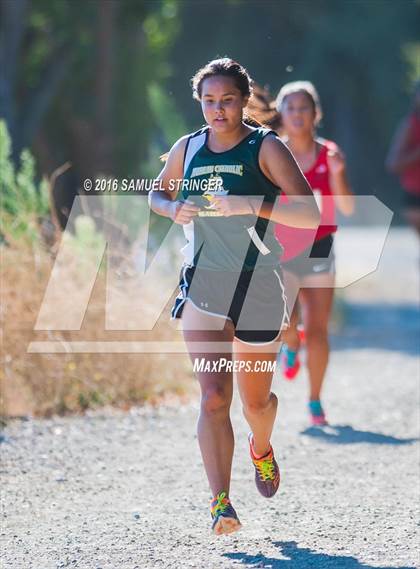 Thumbnail 2 in JV: Moreau Catholic @ James Logan photogallery.
