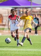 Photo from the gallery "Portales @ Alamogordo"