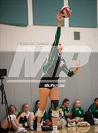 Photo from the gallery "Mission Vista @ Classical Academy"