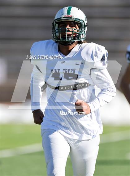 Thumbnail 3 in Pine Creek @ Cherry Creek (CHSAA 5A Semifinal) photogallery.