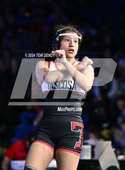 Thumbnail 3 in UIL 5A Championship Finals 100-114lb photogallery.