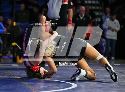 Thumbnail 2 in UIL 5A Championship Finals 100-114lb photogallery.