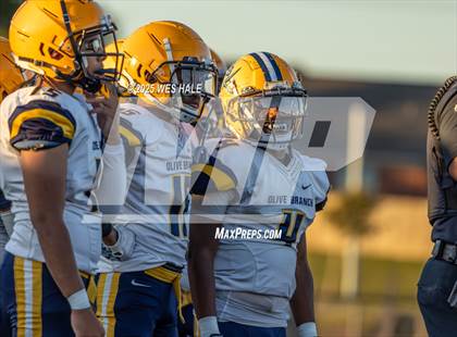 Thumbnail 1 in FR: Olive Branch @ DeSoto Central photogallery.