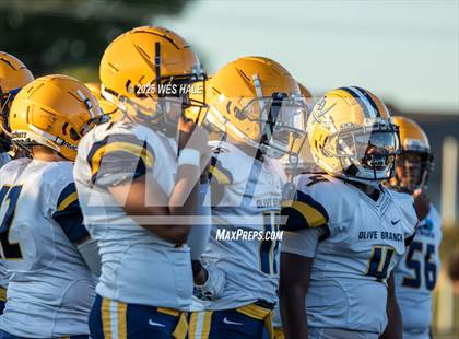 Thumbnail 2 in FR: Olive Branch @ DeSoto Central photogallery.