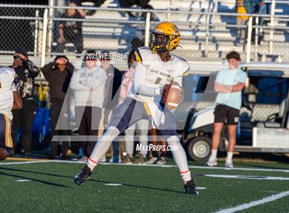 Thumbnail 3 in FR: Olive Branch @ DeSoto Central photogallery.