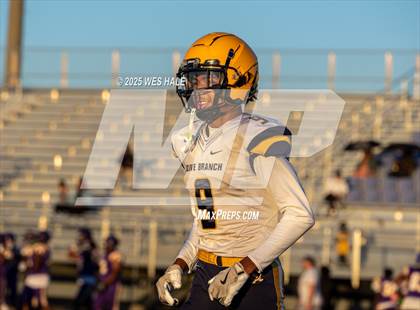 Thumbnail 2 in FR: Olive Branch @ DeSoto Central photogallery.