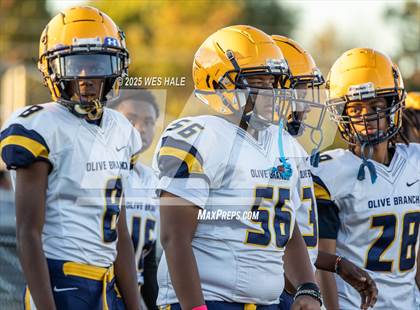 Thumbnail 3 in FR: Olive Branch @ DeSoto Central photogallery.