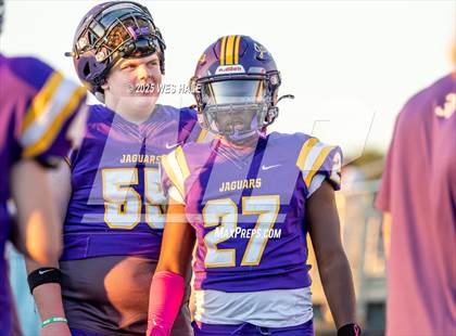Thumbnail 2 in FR: Olive Branch @ DeSoto Central photogallery.