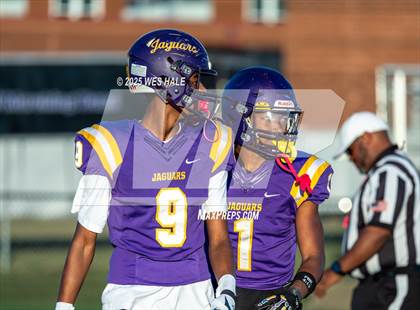 Thumbnail 1 in FR: Olive Branch @ DeSoto Central photogallery.