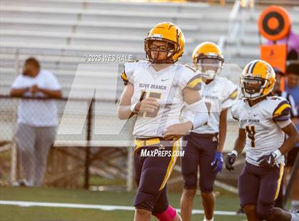 Thumbnail 3 in FR: Olive Branch @ DeSoto Central photogallery.