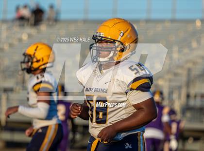 Thumbnail 1 in FR: Olive Branch @ DeSoto Central photogallery.