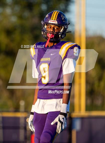 Thumbnail 3 in FR: Olive Branch @ DeSoto Central photogallery.