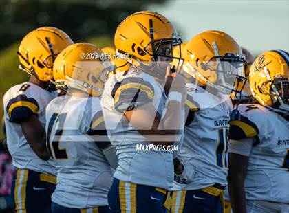 Thumbnail 3 in FR: Olive Branch @ DeSoto Central photogallery.