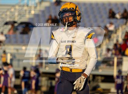 Thumbnail 3 in FR: Olive Branch @ DeSoto Central photogallery.