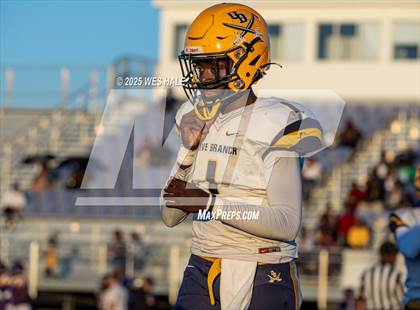 Thumbnail 2 in FR: Olive Branch @ DeSoto Central photogallery.