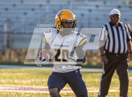 Thumbnail 2 in FR: Olive Branch @ DeSoto Central photogallery.