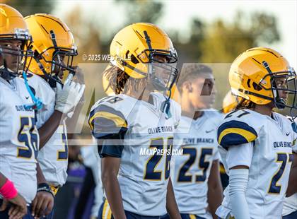 Thumbnail 2 in FR: Olive Branch @ DeSoto Central photogallery.