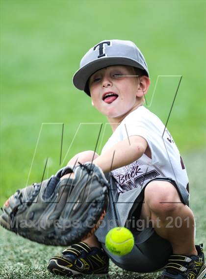 Thumbnail 1 in Prosper vs Whitehouse (UIL 4A Regional Semifinal) photogallery.