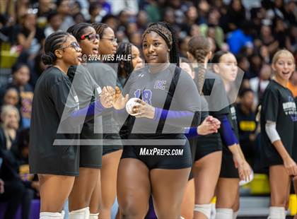 Thumbnail 3 in Center Hill @ DeSoto Central photogallery.