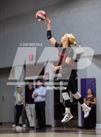 Photo from the gallery "Center Hill @ DeSoto Central"