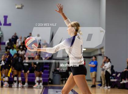 Thumbnail 3 in Center Hill @ DeSoto Central photogallery.