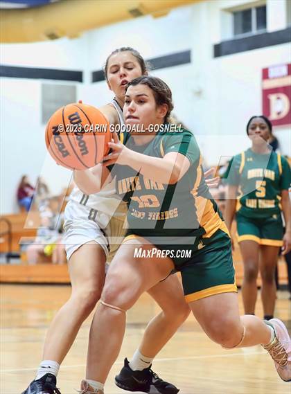 Thumbnail 1 in White Oak @ Croatan photogallery.