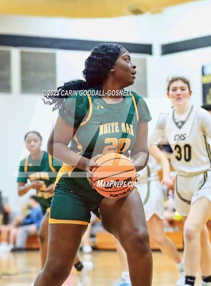Thumbnail 1 in White Oak @ Croatan photogallery.